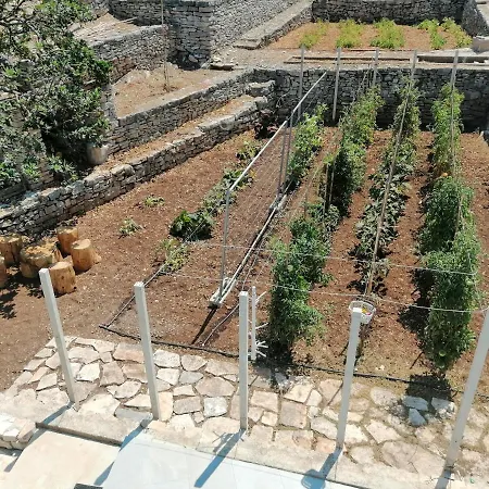 Orsula's House Дом отдыха Вела-Лука