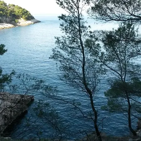 Дом отдыха Orsula's House Вела-Лука