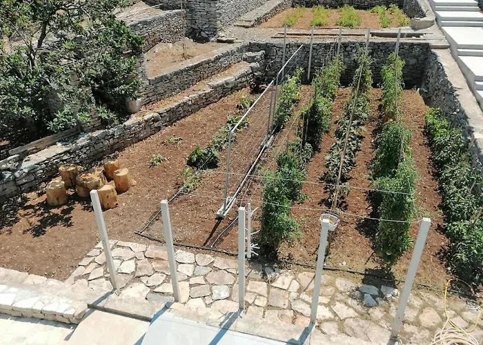 Orsula's House Nyaraló Vela Luka